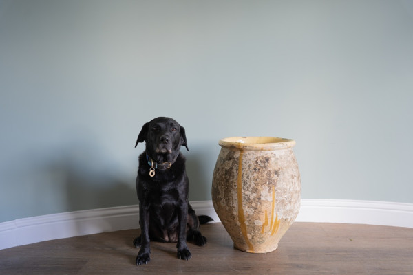 a floor standing antique French yellow glazed biot or large vase
