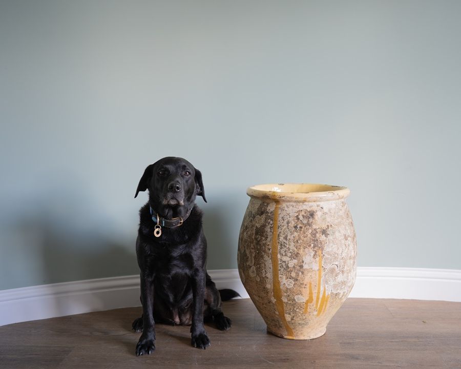 a floor standing antique French yellow glazed biot or large vase