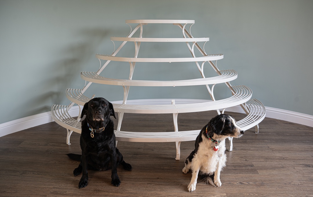 very large plant stand for the conservatory