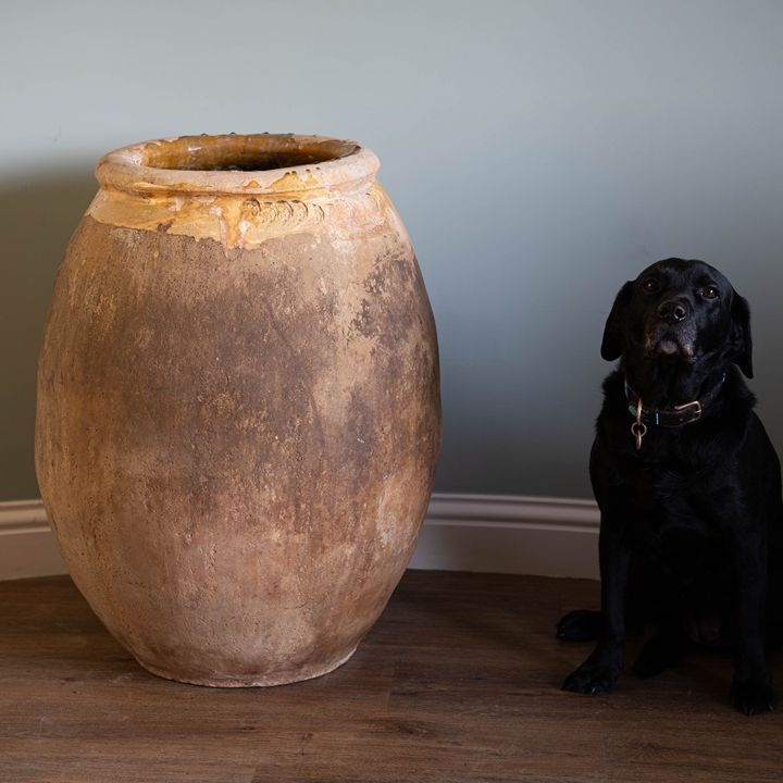 a large floor standing antique pot from France with yellow glaze called a Biot