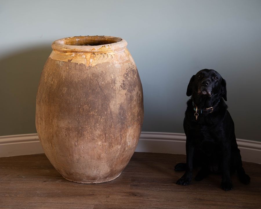 a large floor standing antique pot from France with yellow glaze called a Biot