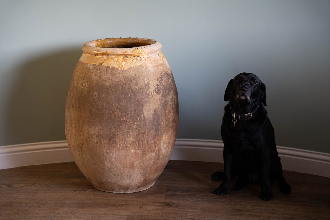 a large floor standing antique pot from France with yellow glaze called a Biot