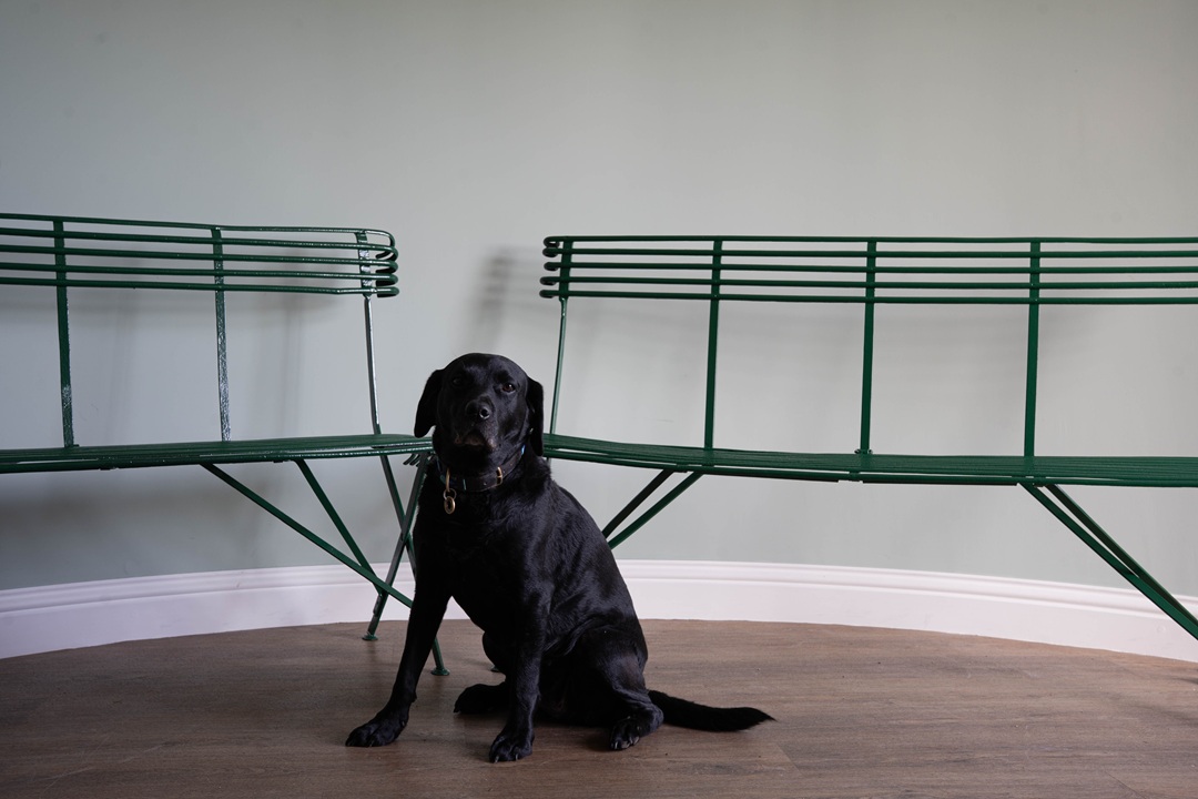 upright antique garden benches from Arras France