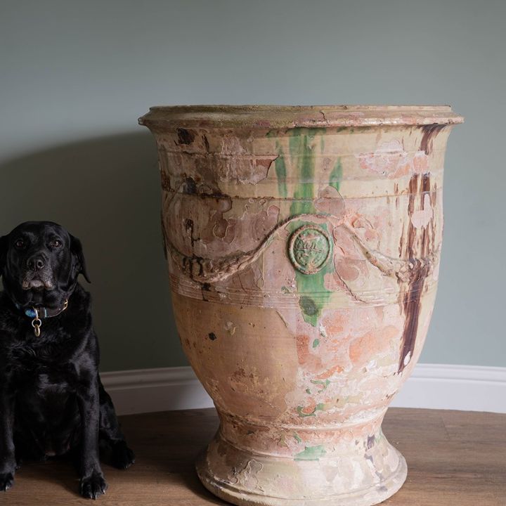 a large floor standing terracotta glazed French pot
