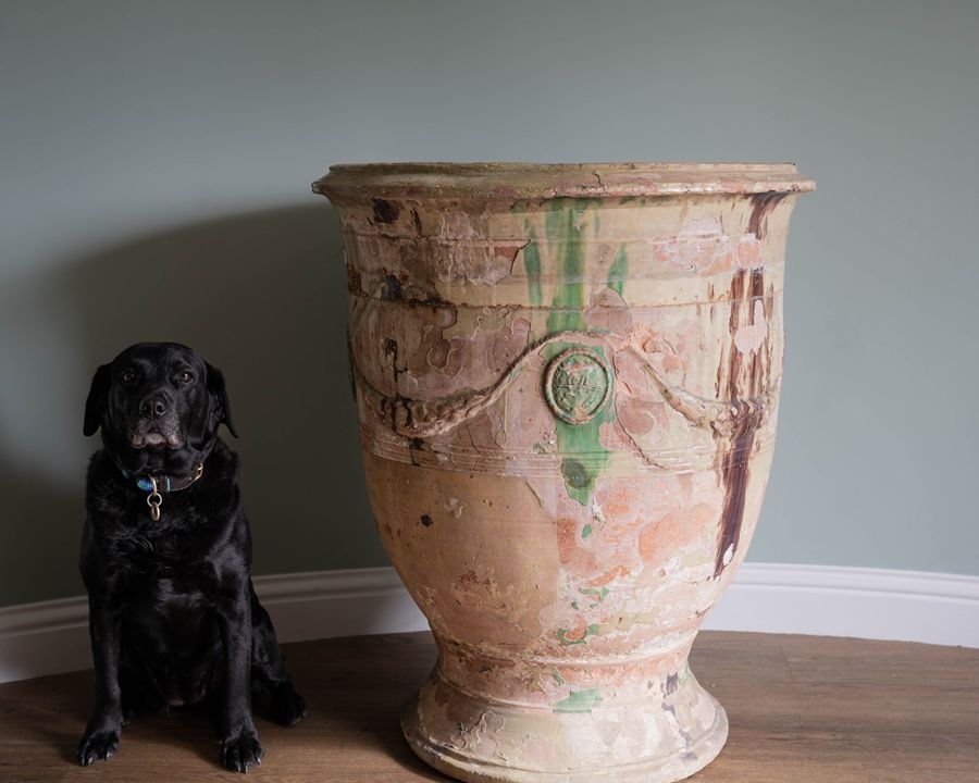 a large floor standing terracotta glazed French pot