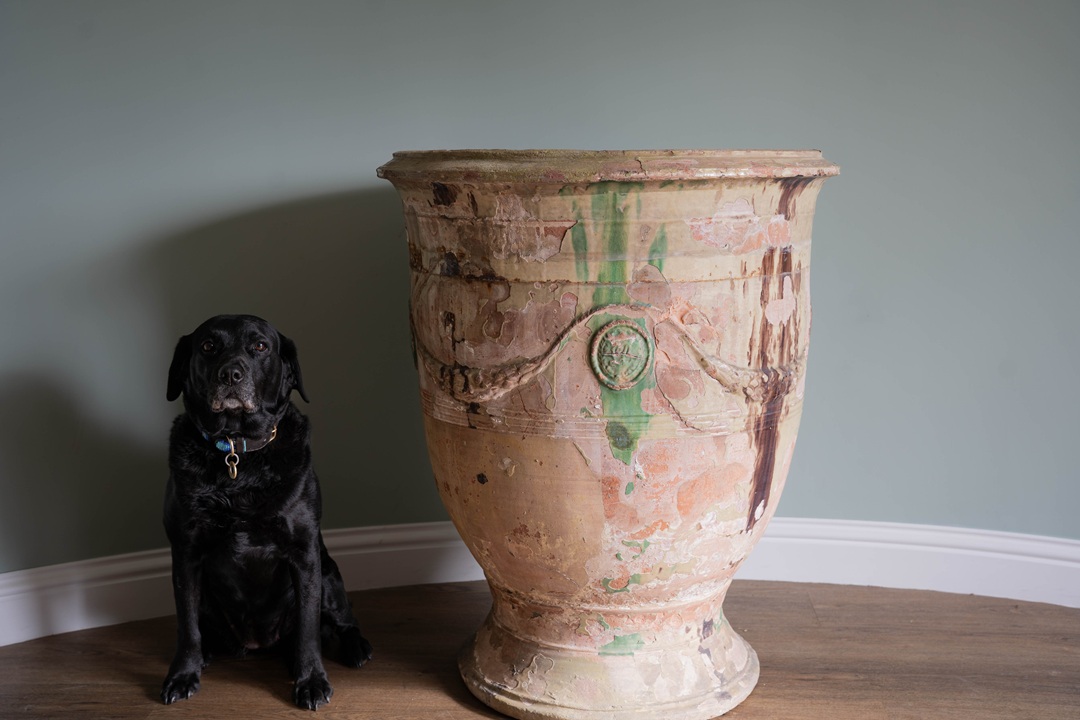 a large floor standing terracotta glazed French pot