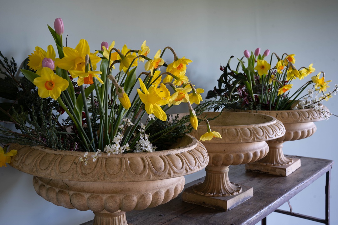 antique terracotta urns by John Stiff and Sons