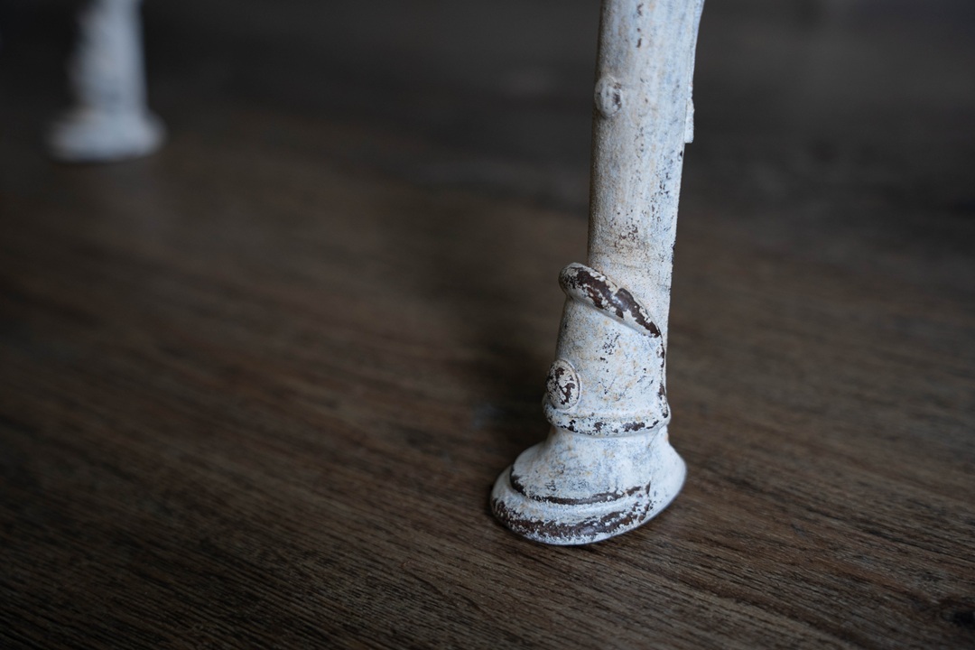 horses hoof feet from the Arras Chairs