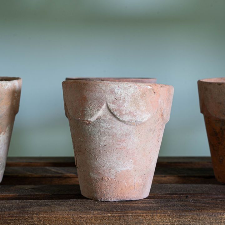 antique terracotta plant pots with scalloped edges