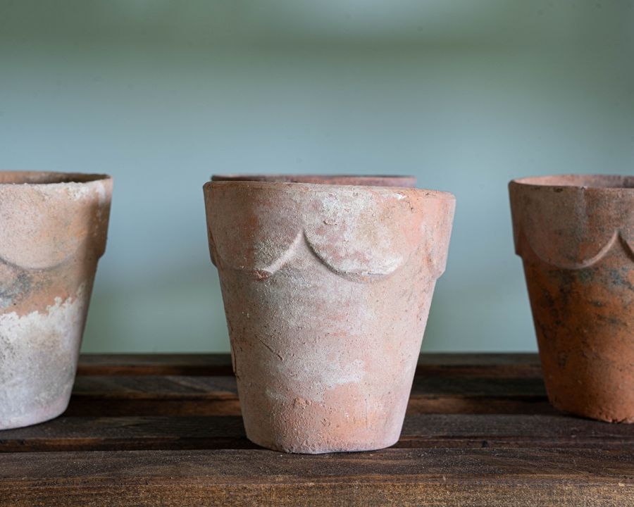 antique terracotta plant pots with scalloped edges