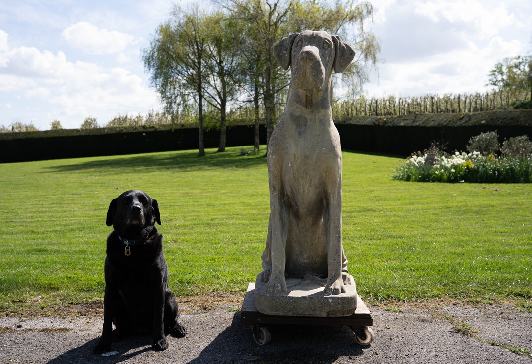 Great Dane garden vintage dog statue