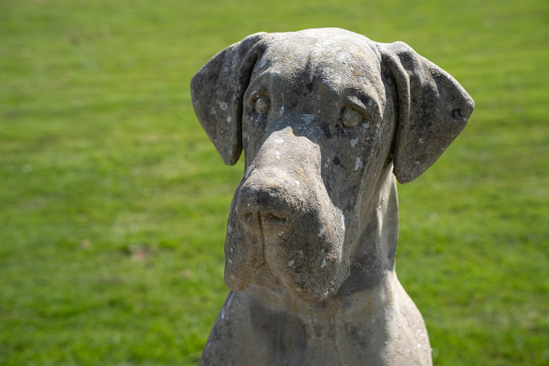 Great Dane vintage dog garden statue