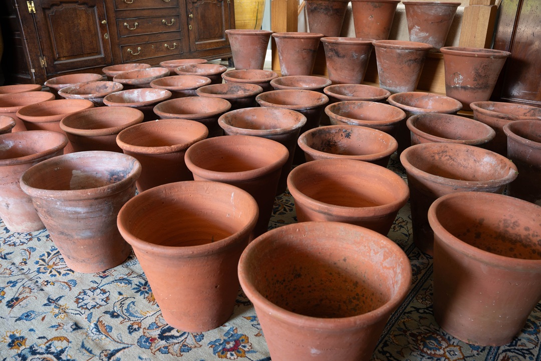 Sankey Bulwell 11 inch Terracotta Garden Pots - Image 9