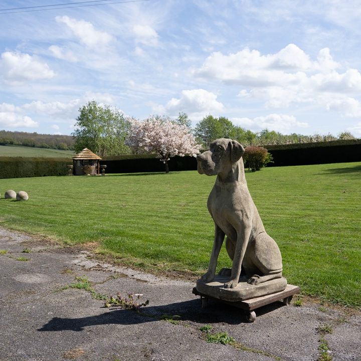 a garden dog statue Great Dane
