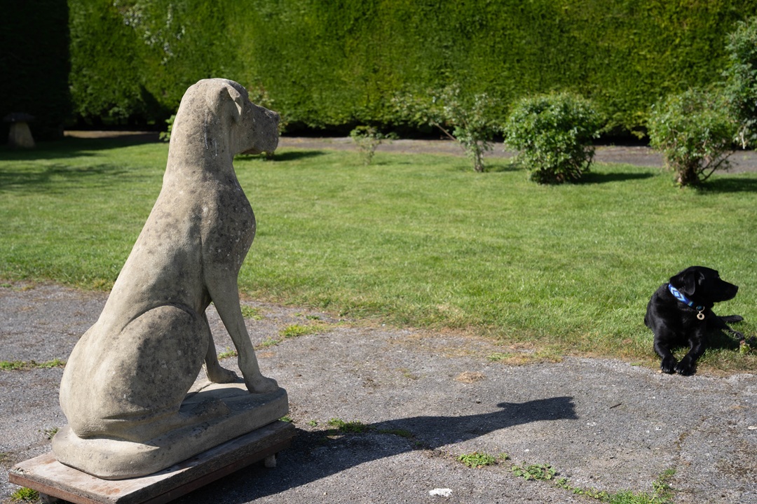 a large vintage garden dog statue