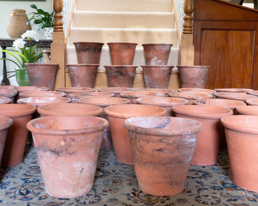 antique terracotta pots Sankey Bulwell