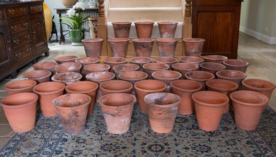 large Sankey Bulwell terracotta garden pots