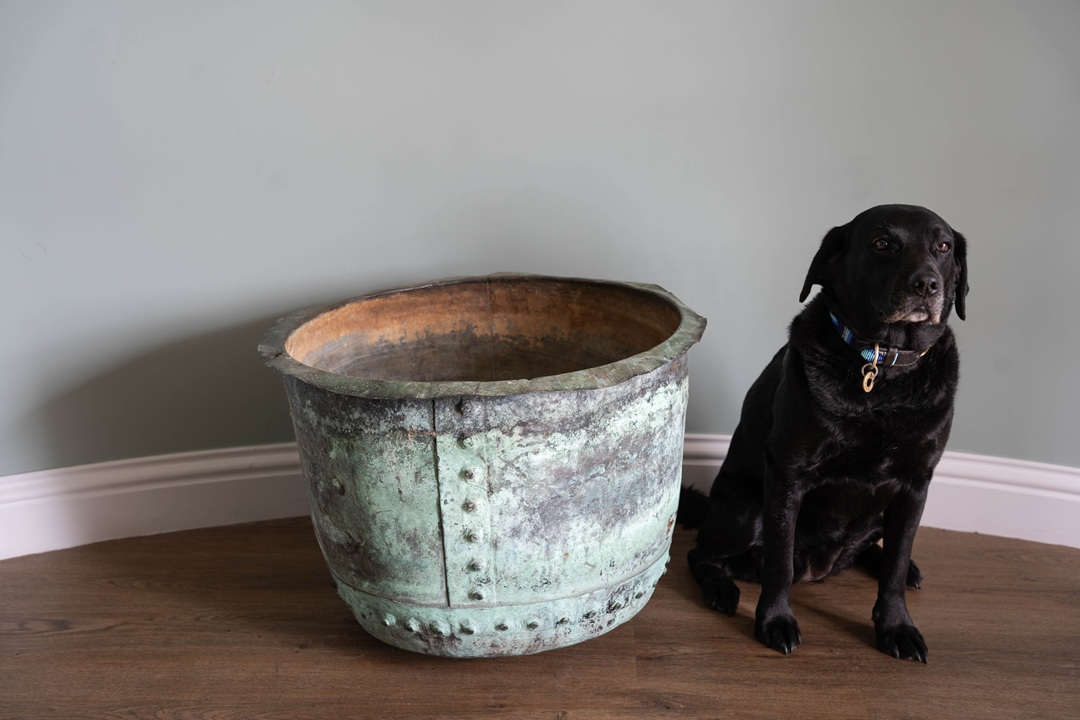 Large antique Copper Pot Planter - Image 9
