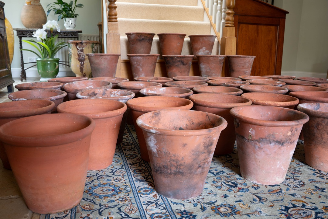 large terracotta pots by Sankey Bulwell