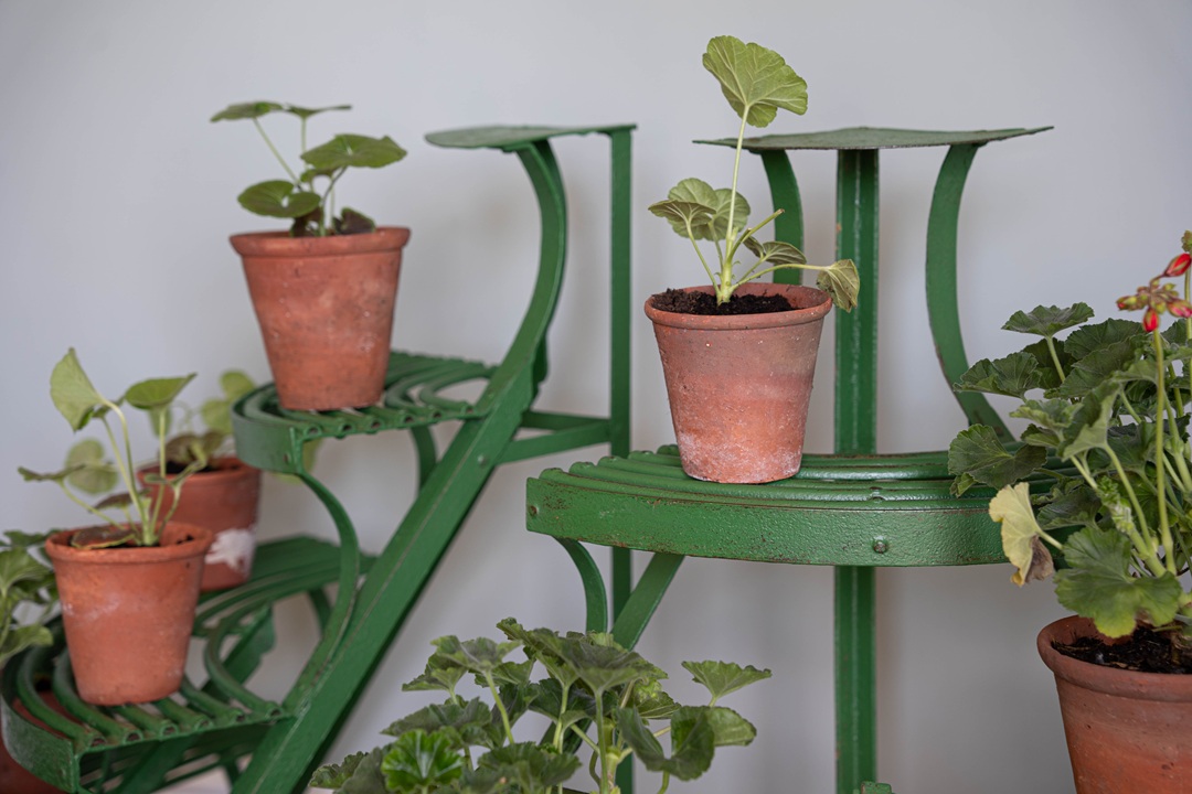 Arras antique corner plantstands