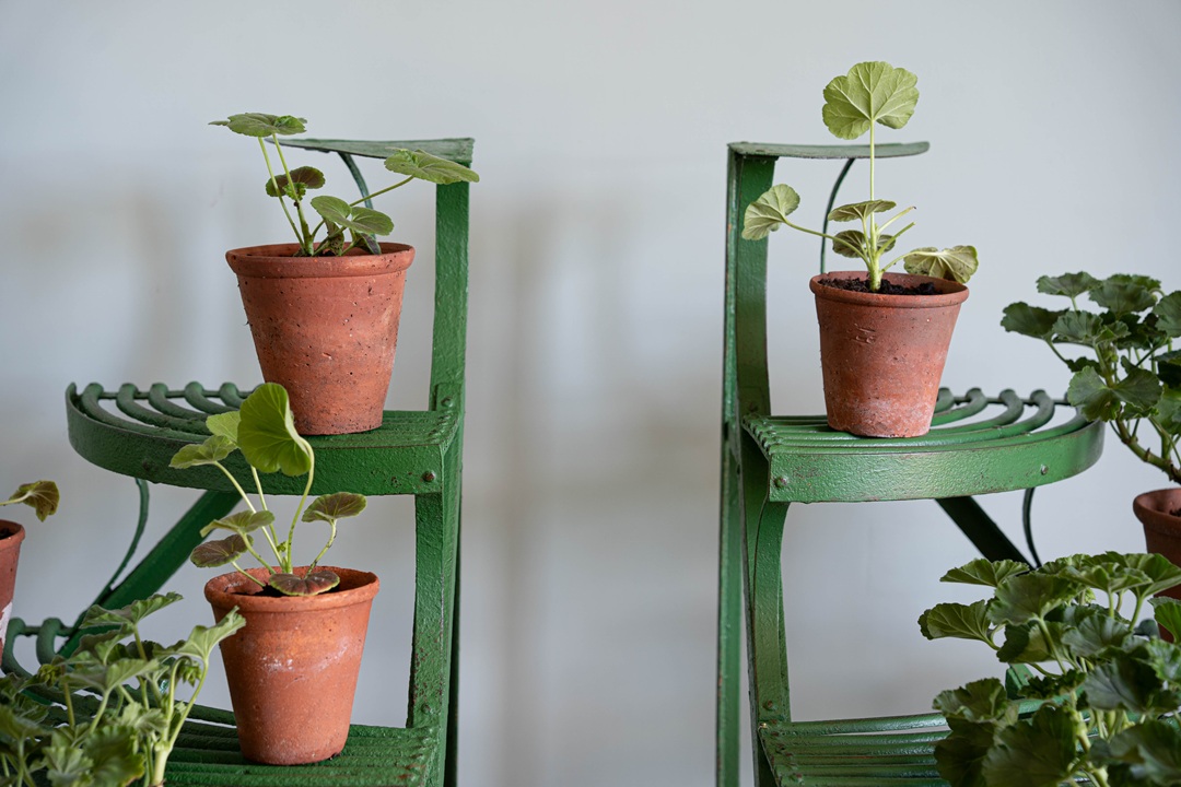 corner antique garden or patio plantstands