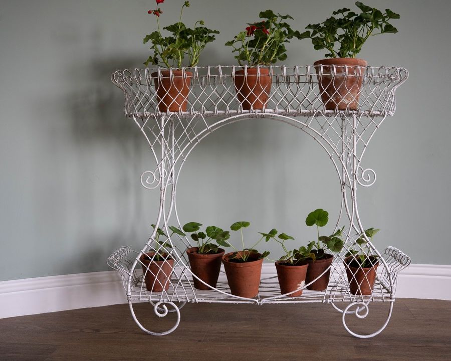 wirework plant display