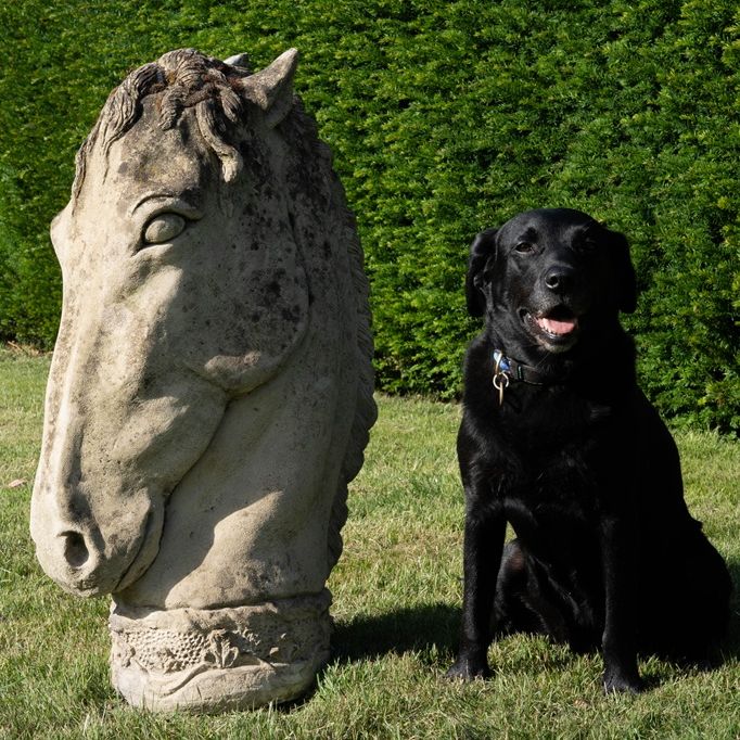 a horses head garden sculpture