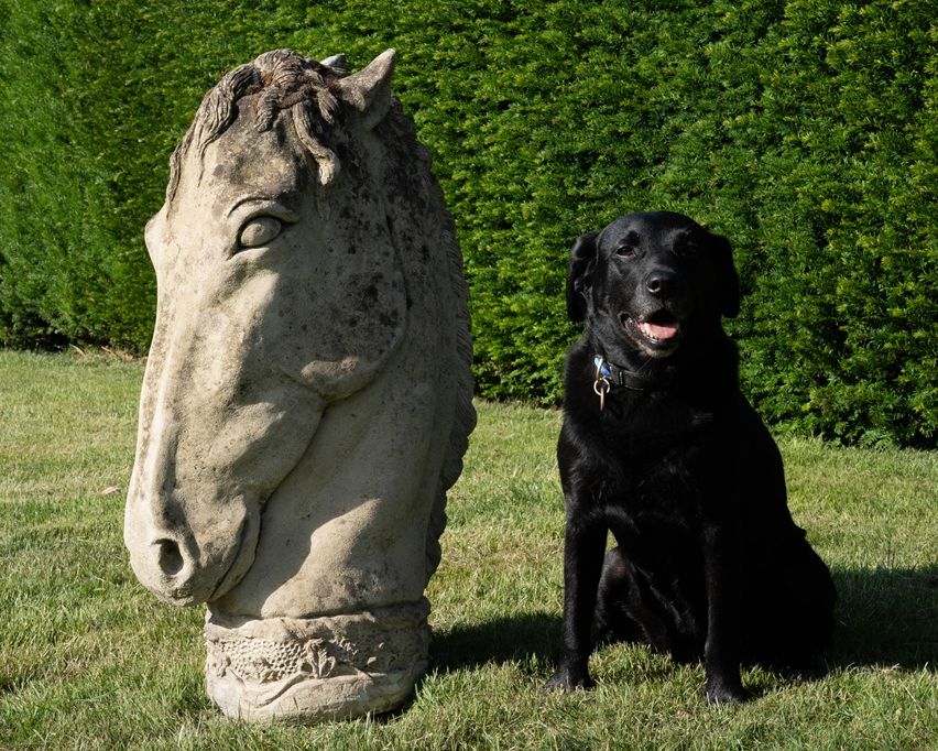 a horses head garden sculpture
