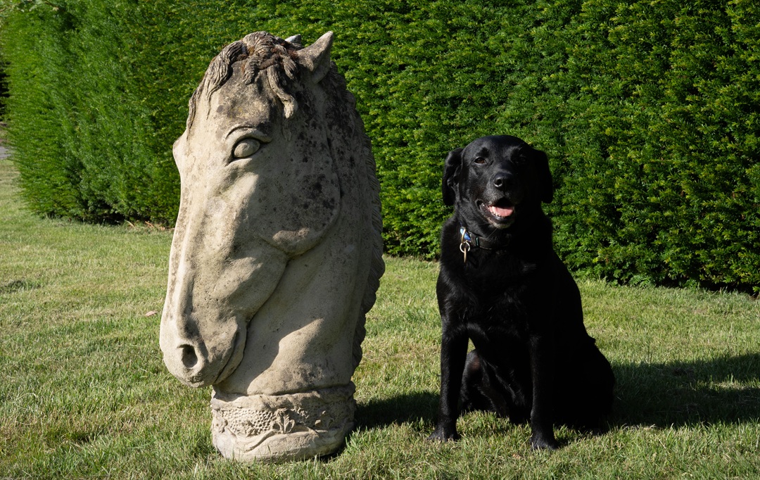 a horses head garden sculpture