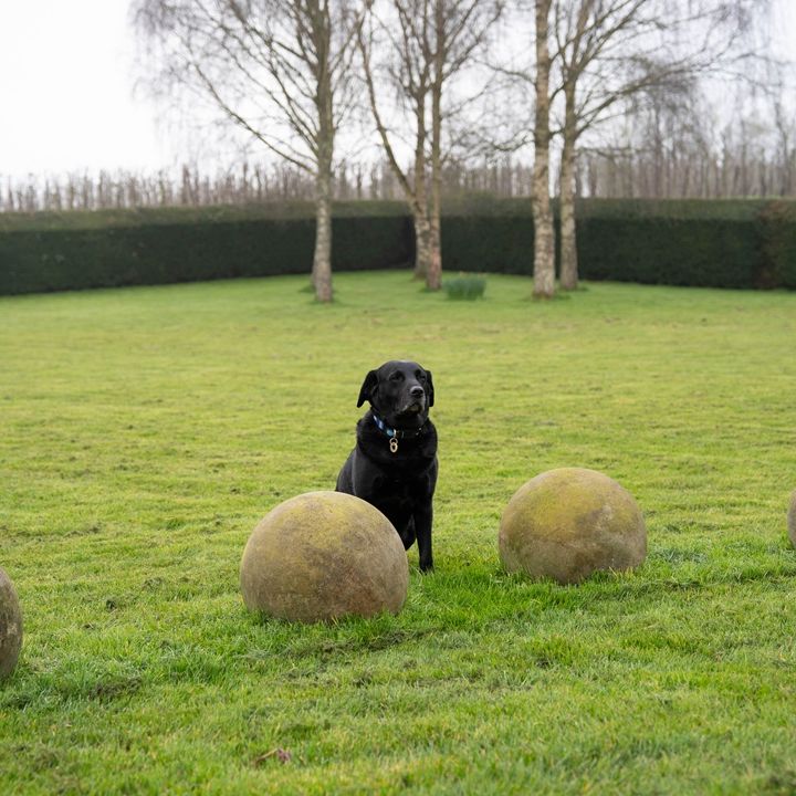 decorative stone balls for the garden
