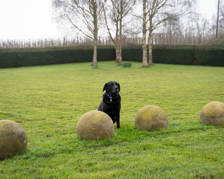 decorative stone balls for the garden