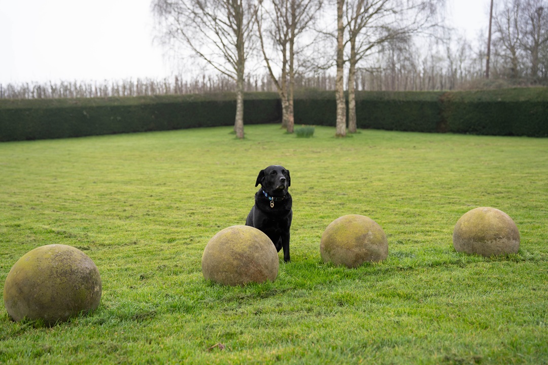 decorative stone balls for the garden