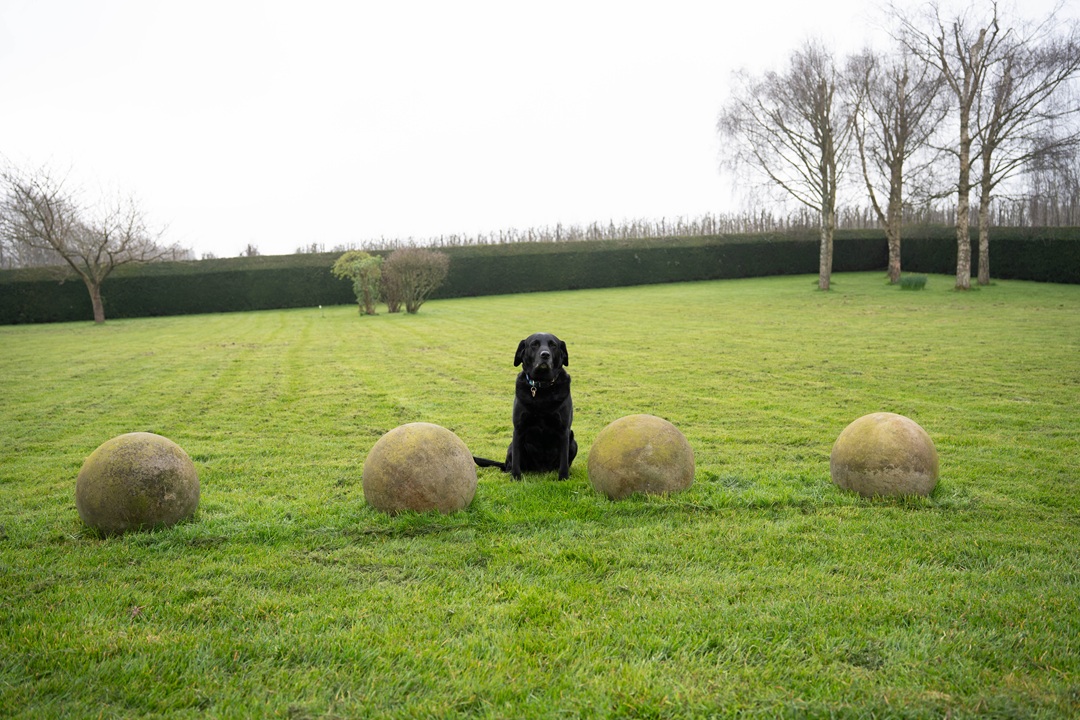 stone garden balls