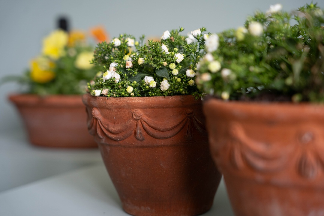 collectors Sankey Bulwell plant pots