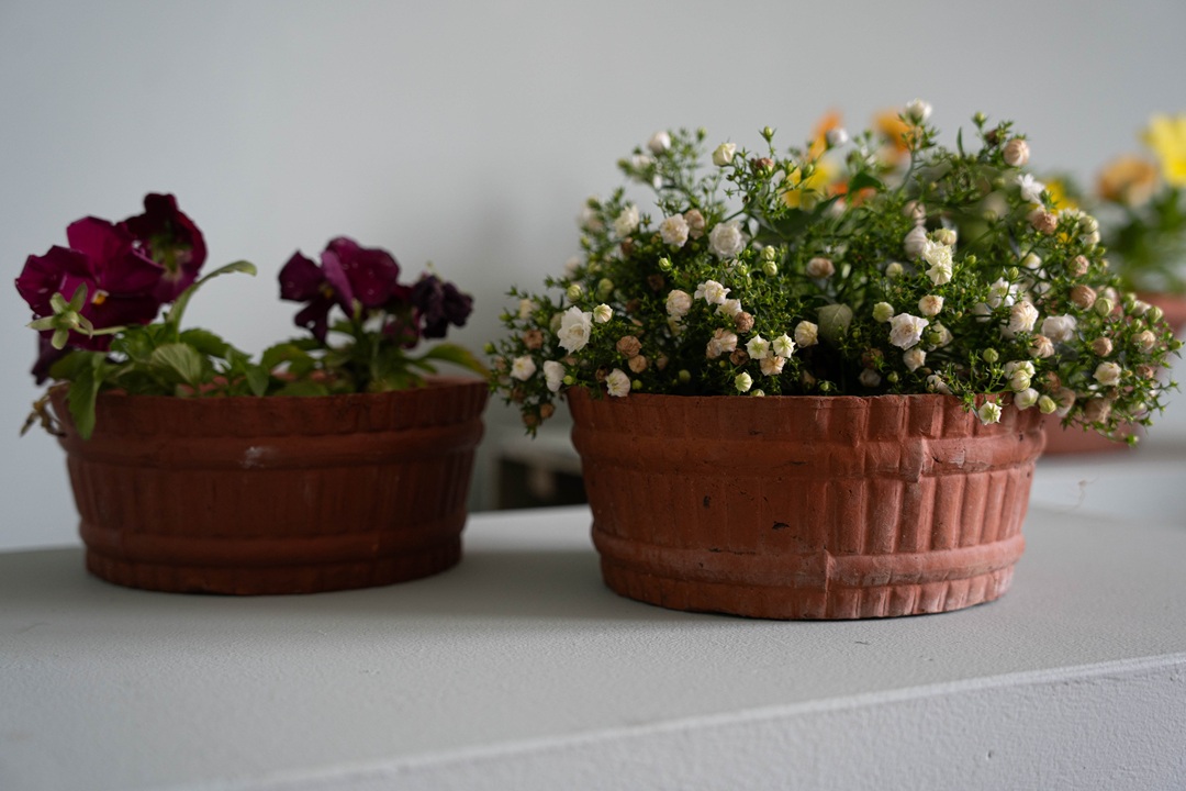 pairs of antique Sankey Bulwell plant pots for the garden