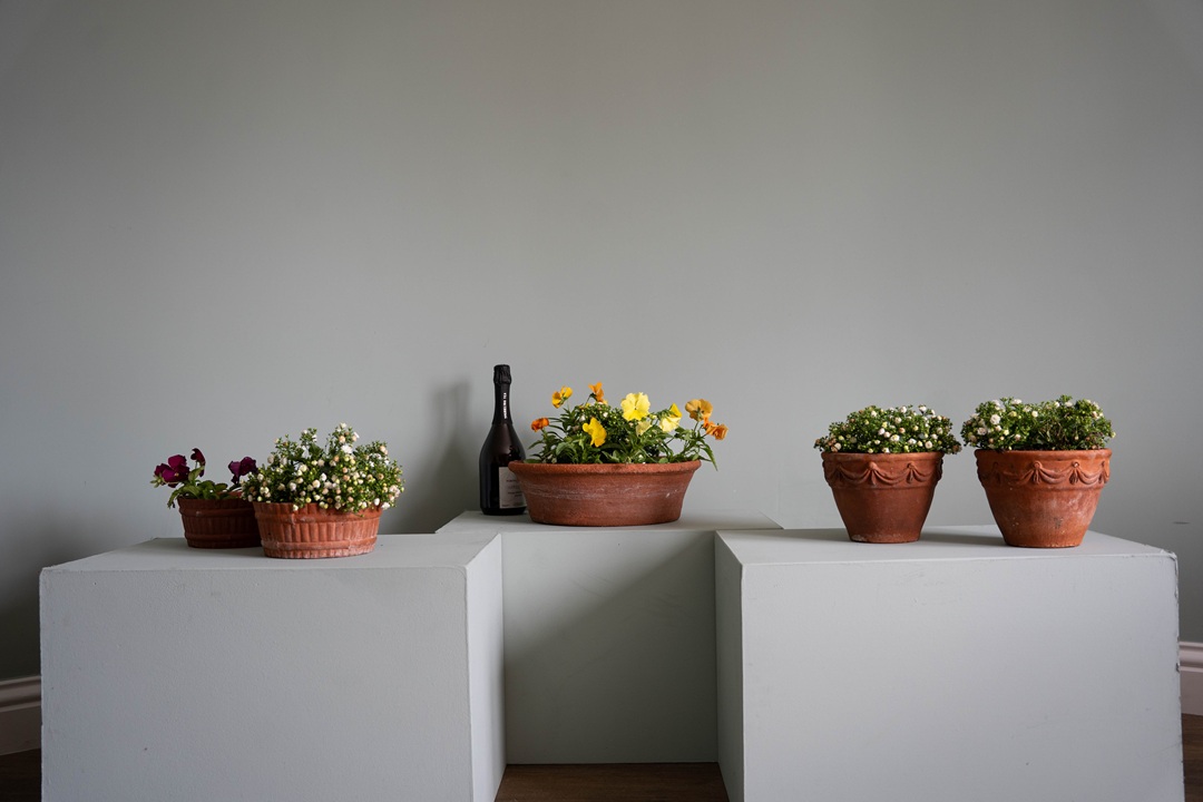 rare antique Sankey Bulwell terracotta planters