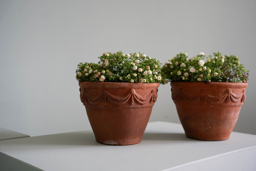 terracotta antique Sankey Bulwell pots