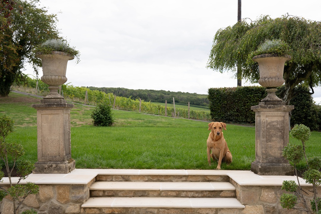a pair of antique garden urns on plinths