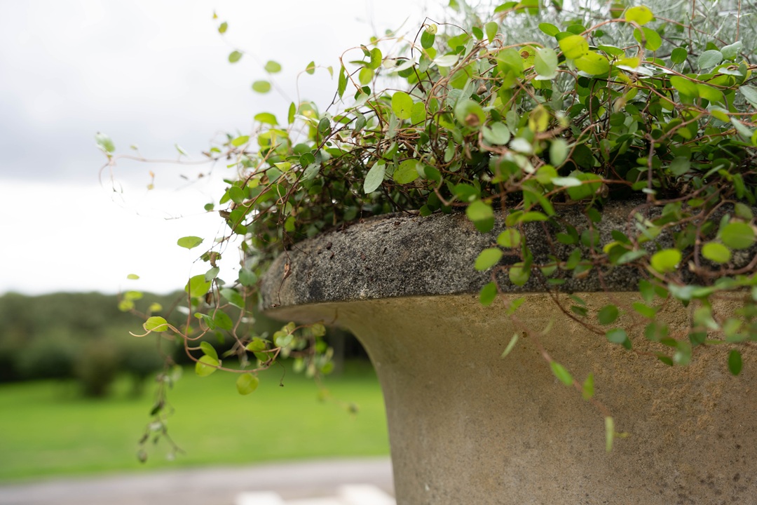 classic pair of cast stone antique garden urns on plinths