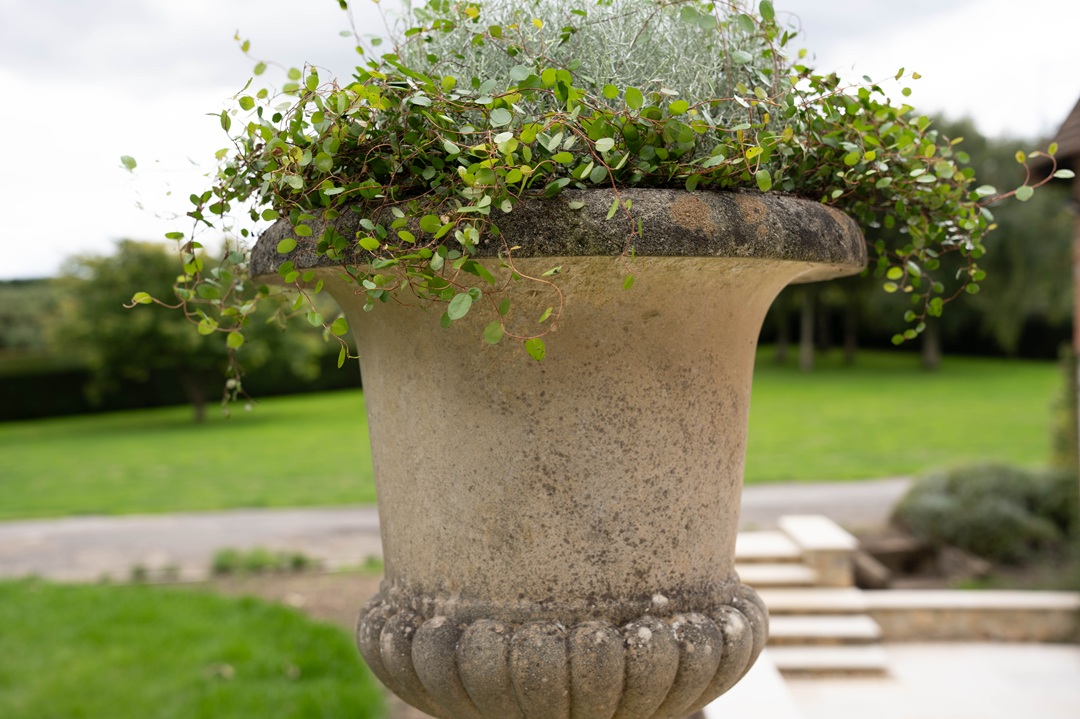 garden antique urns with plinths for sale